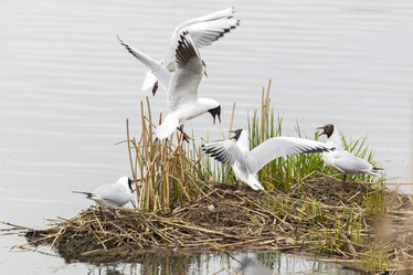 Similar image 21288441