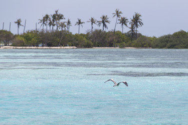 Similar image 21288442