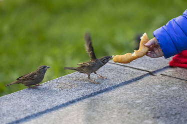 Similar image 21288443