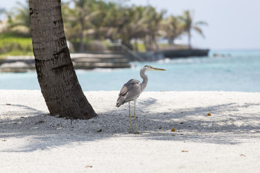 Similar image 21288444