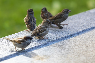 Similar image 21288445