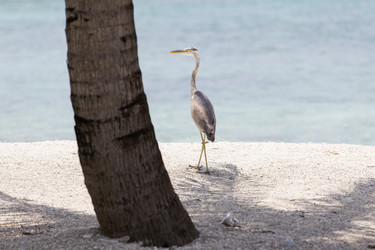 Similar image 21288446