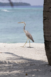 Similar image 21288448