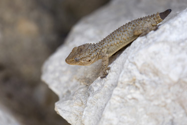 Similar image 21288449