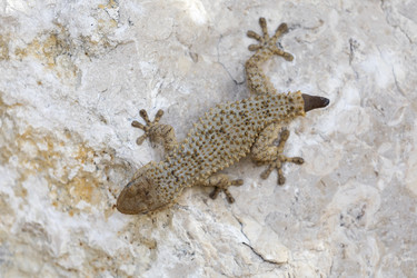 Similar image 21288451