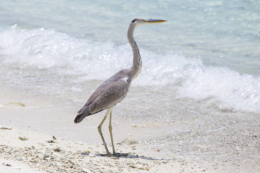 Similar image 21288452