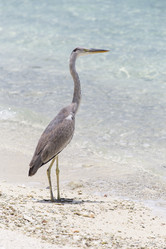 Similar image 21288454