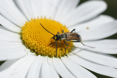 Similar image 21288455