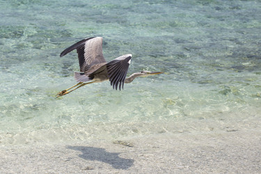 Similar image 21288456