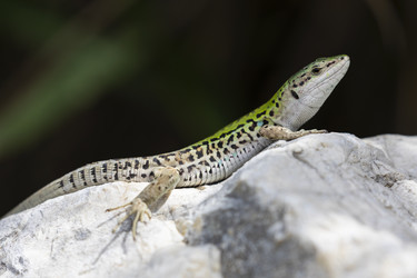 Similar image 21288310