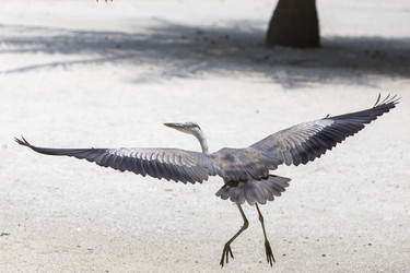 Similar image 21288311