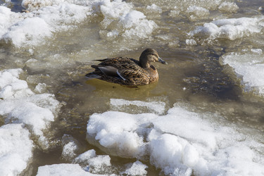 Similar image 21288312