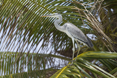 Similar image 21288313