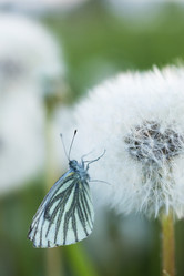 Similar image 21288314