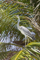 Similar image 21288315