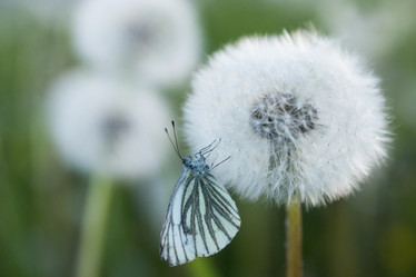 Similar image 21288318