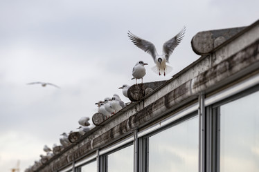 Similar image 21288319