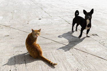 Similar image 21288321