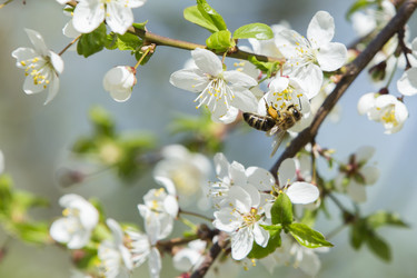 Similar image 21288322