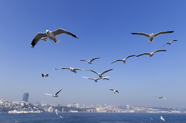 Similar image 21288323