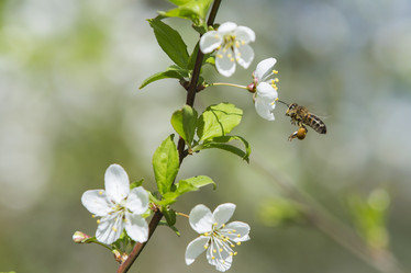 Similar image 21288324