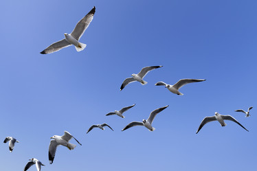 Similar image 21288325