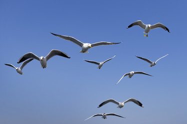 Similar image 21288326