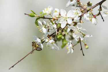 Similar image 21288327