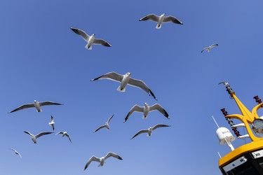 Similar image 21288328