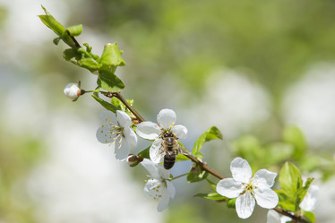 Similar image 21288331