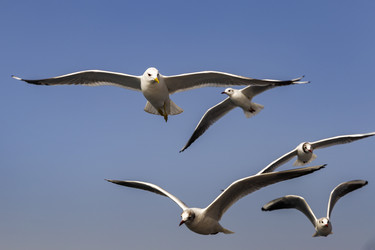 Similar image 21288332