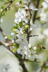 Similar image 21288333