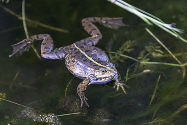 Similar image 21288335