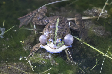 Similar image 21288339