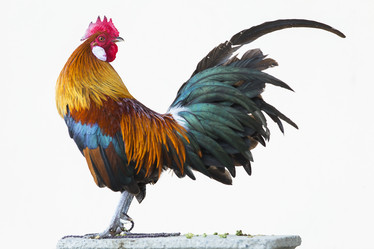 Similar image 21288340