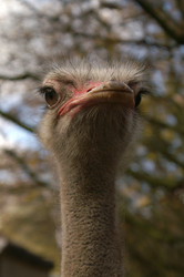 Similar image 21288342