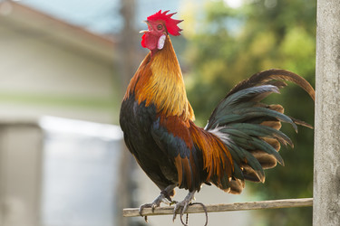 Similar image 21288343