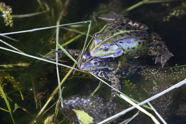 Similar image 21288344