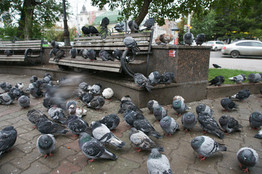 Similar image 21288347