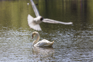 Similar image 21288348