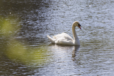 Similar image 21288349