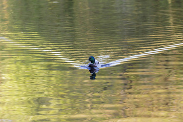 Similar image 21288352