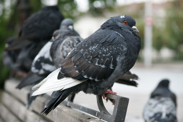 Similar image 21288353