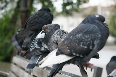 Similar image 21288354