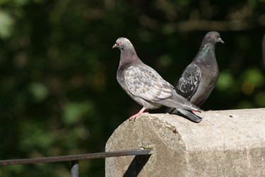 Similar image 21288356