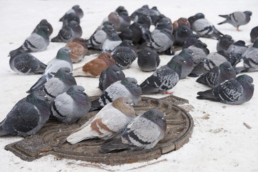 Similar image 21288357