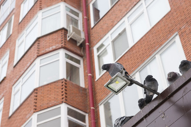 Similar image 21288358