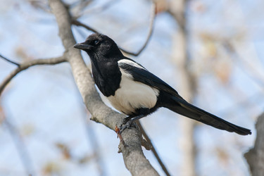 Similar image 21288457