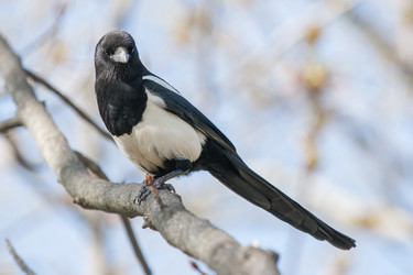 Similar image 21288458