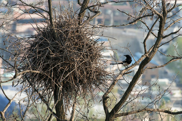 Similar image 21288459